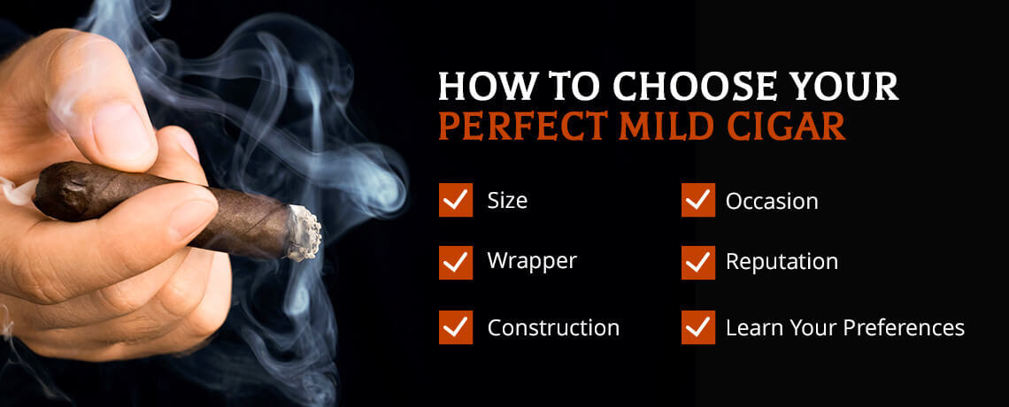 How to Choose Your Perfect Mild Cigar